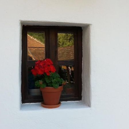 Zempleni Pitvaros Piheno Telkibanya Exterior photo